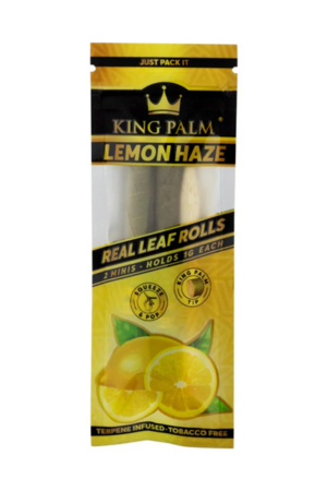 2 Mini King Palm Lemon Haze