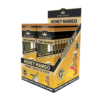 2 Mini King Palm Honey Mango - Imagen 4