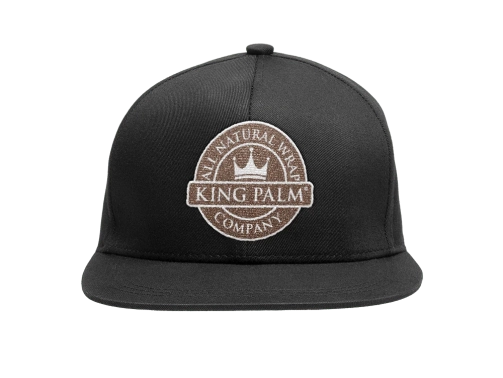 Snapback1