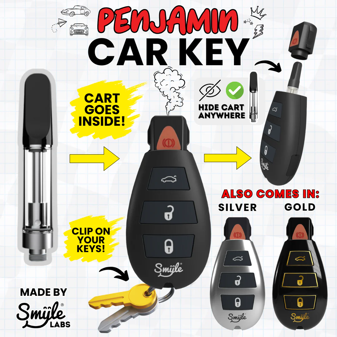 Penjamin Car Key – Smile Labs - Imagen 3